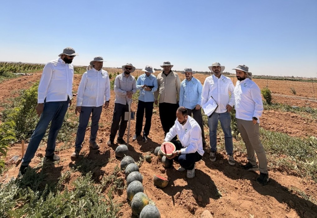 La jordana Genome Seeds elige Villena para instalar su filial española de I+D y semillas agrícolas