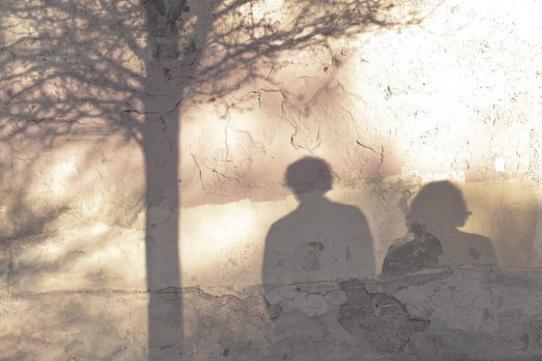 Los misteriosos Podenco - 