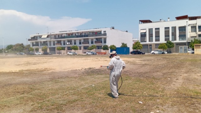 Massamagrell destina más de 91.000 euros a contratar personas desempleadas para limpiar y adecuar de caminos rurales