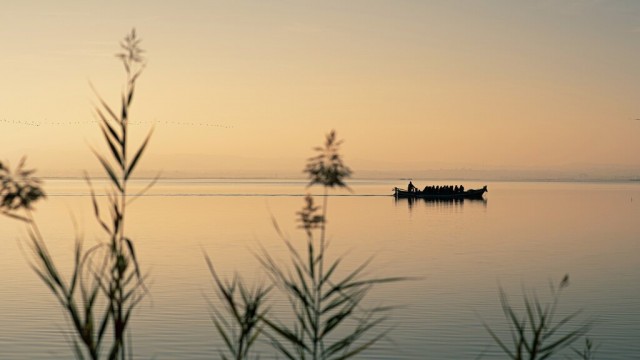 Ivace+i Energía subvenciona la electrificación de las barcas de l'Albufera, El Hondo y Las Salinas 