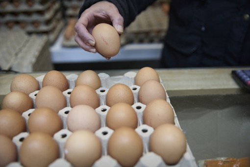 Agricultura regula el marcado de huevos en centros de embalaje para simplificar su comercialización