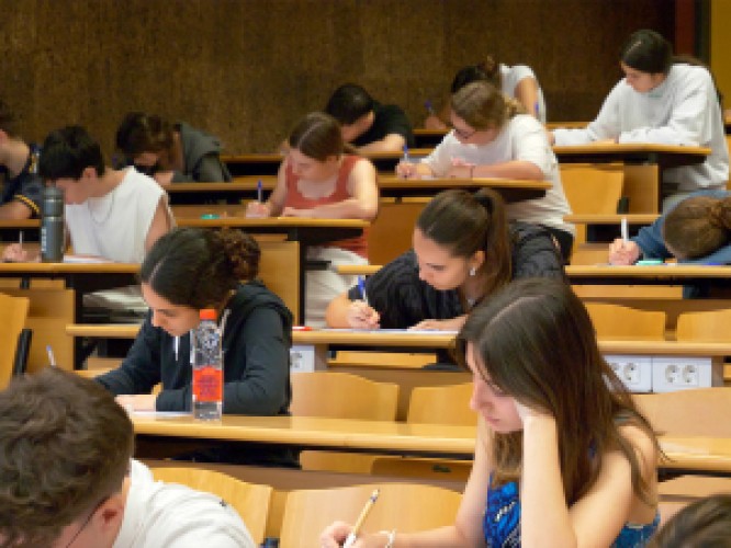 La UMH cubre en la preinscripción el 100% de las 2.722 plazas ofertadas