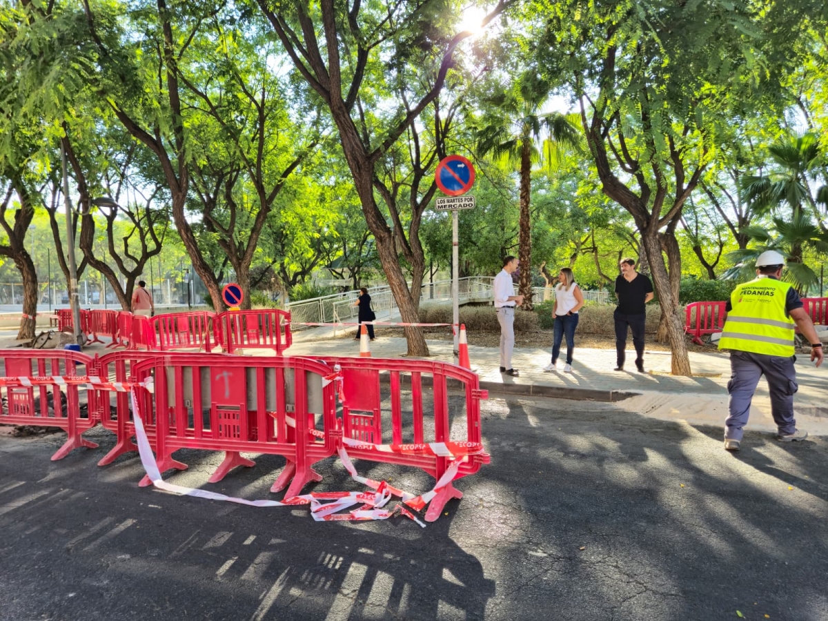  - Foto: AYTO DE MURCIA 