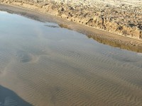 La playa del Serradal de Castelló reabre al baño tras confirmar las analíticas parámetros normales