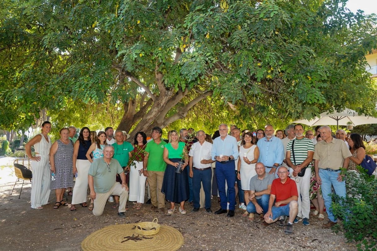  - Foto: Ayuntamiento de Cartagena