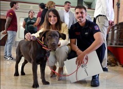 Los bomberos de Murcia regresan de Venezuela: “La situación nos superó un poco, aquello era algo muy grande