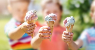 Tipos de helados y su conservación