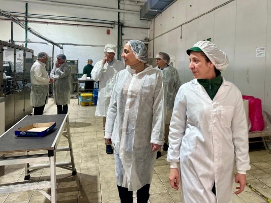 La creación de empresas en la Región de Murcia disminuye casi un 5% en mayo 