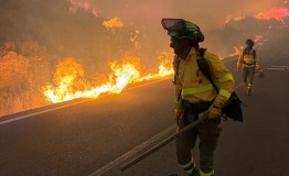 Ascienden a 12 los fallecidos en el incendio de Los Gallardos, con 23 no localizados