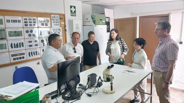El Centro de Ensayos de Evaluación de Variedades del IMIDA identifica 246 nuevos tipos de vid 