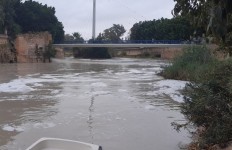 El CEBAS-CSIC concluye que las espumas del río Segura tienen un origen natural y descarta una contaminación química