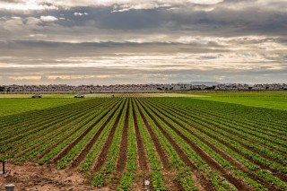 Suspenden la actividad laboral en la construcción y la agricultura por la alerta roja de calor en la Región de Murcia