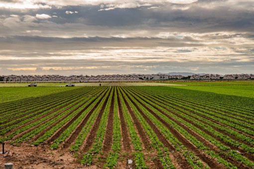 Vuelven a plantear batalla para que la Región reconozca la Comarca del Campo de Cartagena y el Mar Menor