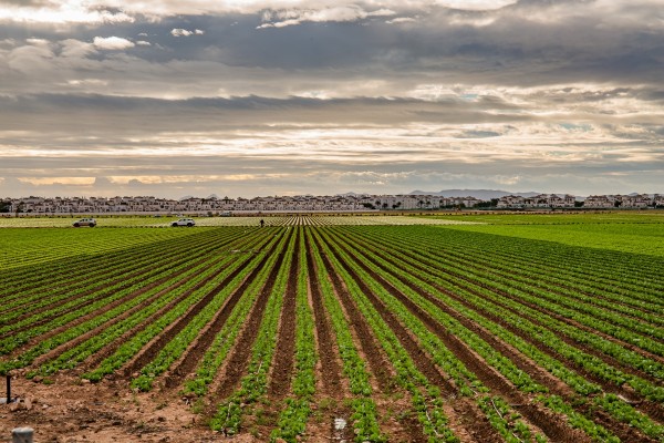 Vuelven a plantear batalla para que la Región reconozca la Comarca del Campo de Cartagena y el Mar Menor