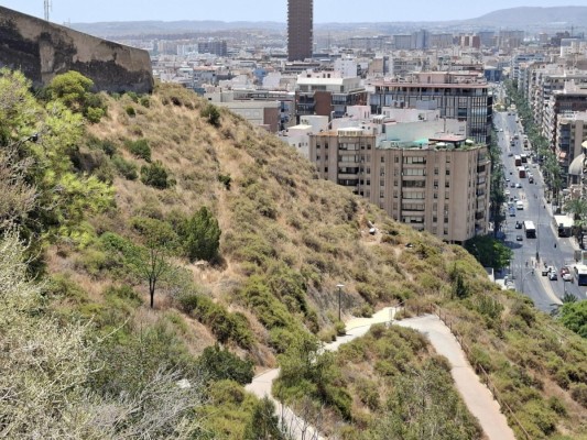 El PSOE alerta de que el abandono de Barcala pone a Alicante en riesgo extremo de incendios