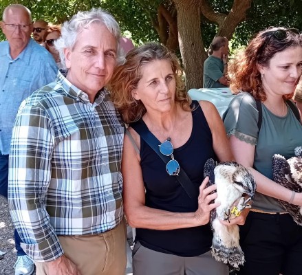 Medio Ambiente reintroduce 12 crías de águila pescadora en el parque de la Marjal Pego-Oliva