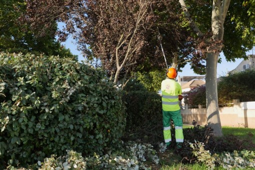 El Ayuntamiento de Cartagena refuerza el cuidado de sus zonas verdes con motivo del calor del verano