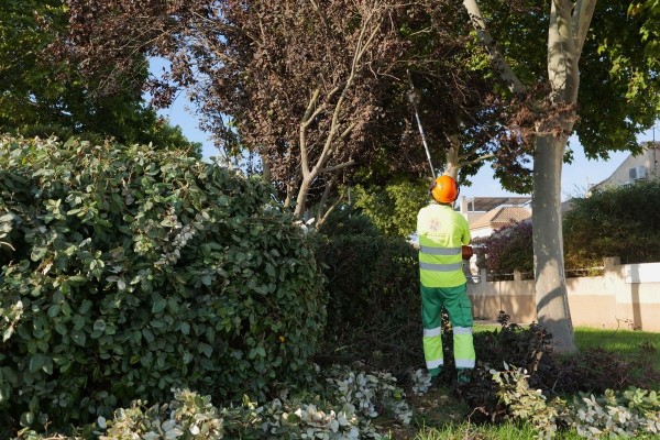 El Ayuntamiento de Cartagena refuerza el cuidado de sus zonas verdes con motivo del calor del verano