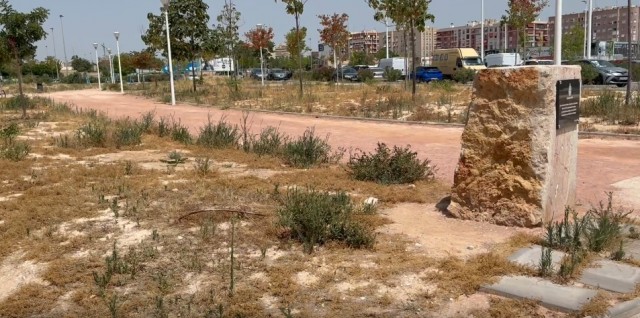 El PSOE de Elche urge limpieza y atención en el cementerio viejo y su entorno ante el estado de abandono