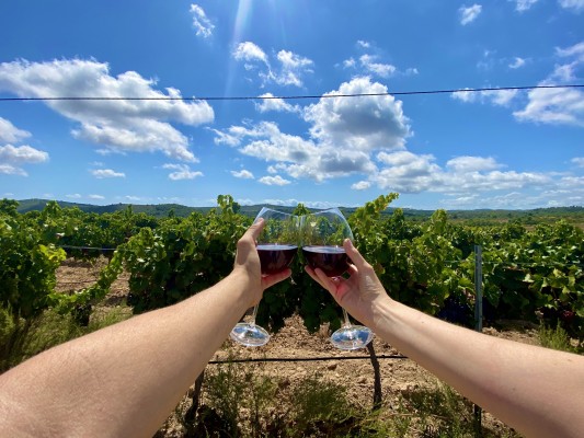 Les Coves de Vinromà prestigia la cultura vitivinícola amb la producció de vins creats des de la passió