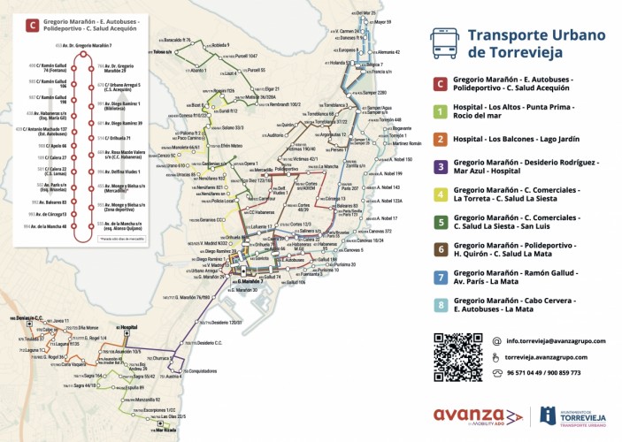 Así será la nueva red de autobuses de Torrevieja: ocho líneas para conectar toda la ciudad