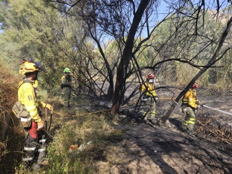 Tres brigadas, los bomberos y un helicóptero se movilizan por un incendio forestal en Blanca