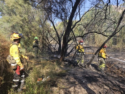 Tres brigadas, los bomberos y un helicóptero se movilizan por un incendio forestal en Blanca