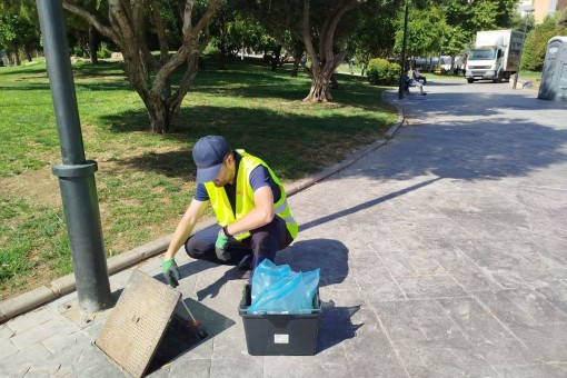 Cartagena aumenta la vigilancia diaria contra las plagas con más inspecciones y la ayuda de los vecinos