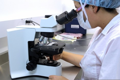 La Generalitat concede 2,8 millones de euros a nueve jóvenes investigadores de excelencia a través del Plan GentT2
