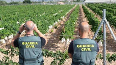 La Unió alerta de que los robos en en el campo de Castellón caen un 23,5% en 2025, aunque también baja su esclarecimiento