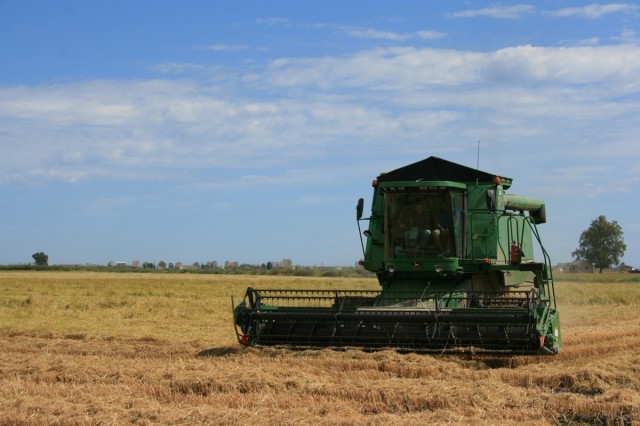 Agricultores e industria denuncian el uso del arroz como reclamo comercial 