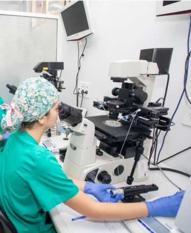 La provincia de Alicante, entre las provincias con peor calidad del semen de España