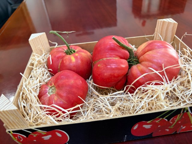 Nules recupera una variedad del tomate de la marjal a partir de semillas donadas por un agricultor