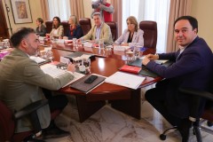 Castellón, el 'patito feo' de los plenos del Consell: Pérez Llorca solo ha celebrado una de 30 reuniones en esta provincia