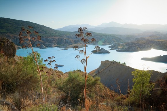 De la adrenalina del río Segura a la calma de Calblanque: siete planes para exprimir la naturaleza de la Región de Murcia