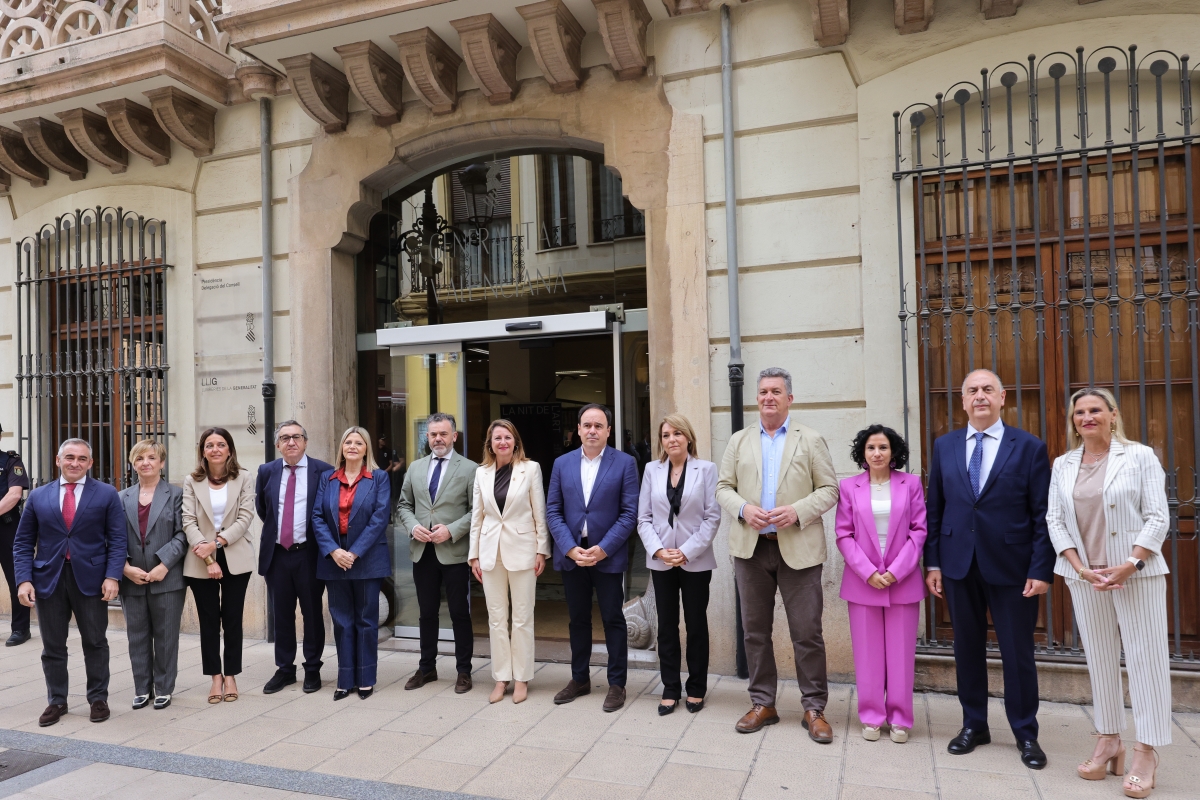 Pleno del Consell en Castellón.