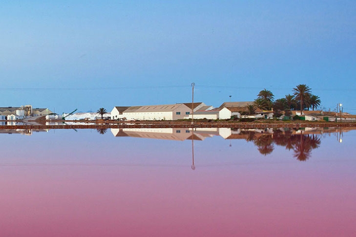 Salinas de San Pedro del Pinatar - Foto: TURISMO REGIÓN DE MURCIA Salinas de San Pedro del Pinatar
