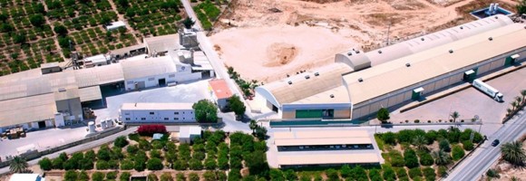 La plantilla de Indalva se moviliza en Orihuela para evitar el despido de un miembro del comité de empresa