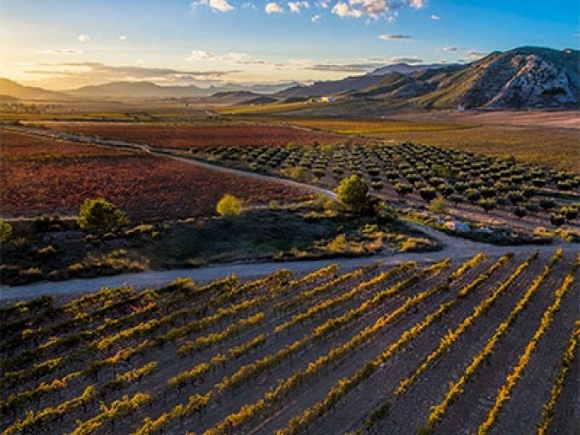 Entre el calor intenso y la posibilidad de tormenta en el Altiplano y el Noroeste