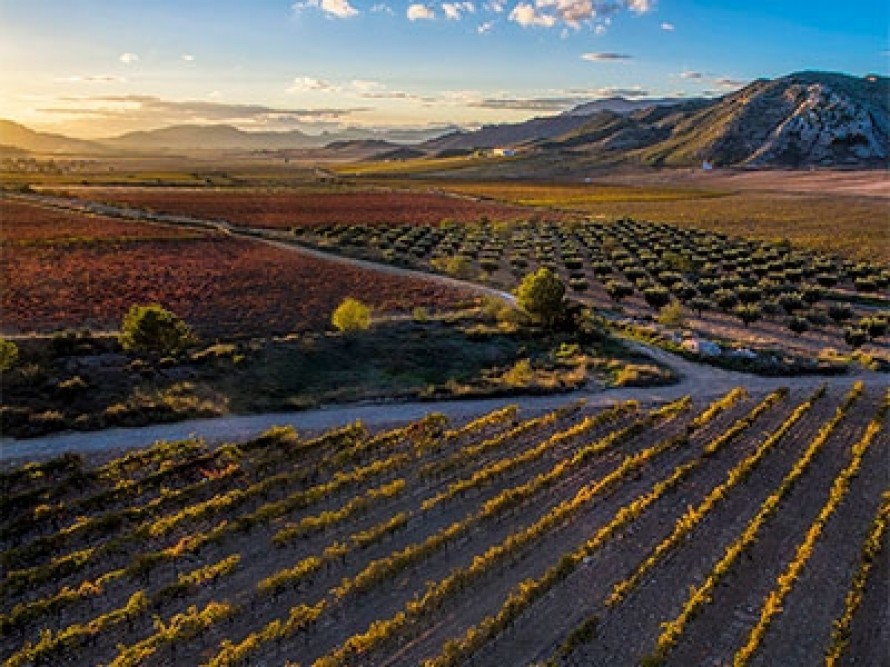 Entre el calor intenso y la posibilidad de tormenta en el Altiplano y el Noroeste