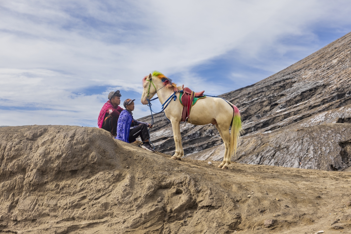 Los caballos con la crin de colores galopan por el paisaje lunar del volcán de Bromo. - Olga Briasco Los caballos con la crin de colores galopan por el paisaje lunar del volcán de Bromo.