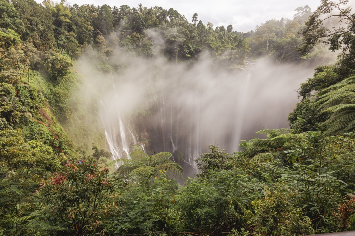 vista desde arriba de la cascada Tumpak Sewu - Olga Briasco vista desde arriba de la cascada Tumpak Sewu