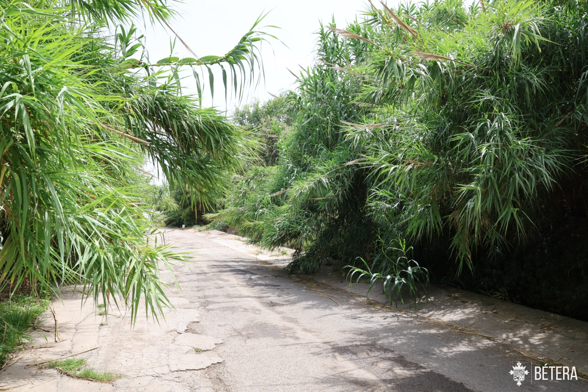 Estado del barranco del Carraixet a su paso por Bétera. - Foto: AYUNTAMIENTO DE BÉTERA Estado del barranco del Carraixet a su paso por Bétera.