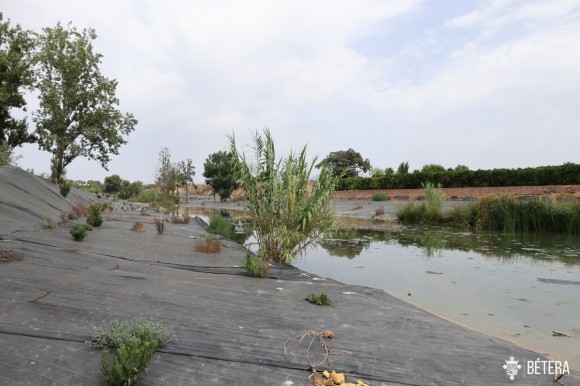 La Generalitat archiva el proyecto de una planta solar de 1,5 MW en Bétera por su afección al Carraixet