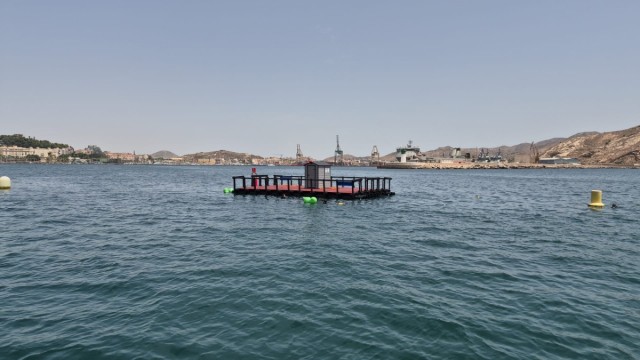 Una plataforma científica convierte el Puerto de Cartagena en banco de pruebas para la energía del mar