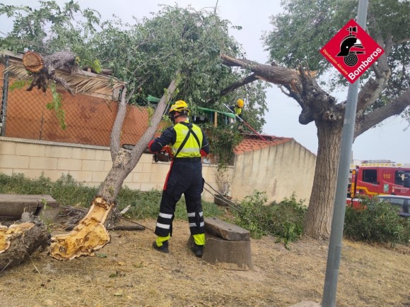 Un reventón cálido provoca la caída de árboles y toldos en Elda y Petrer