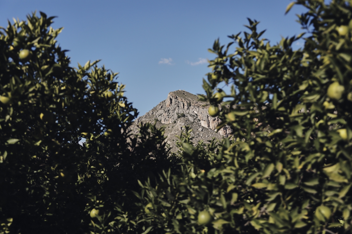Valle de Ricote