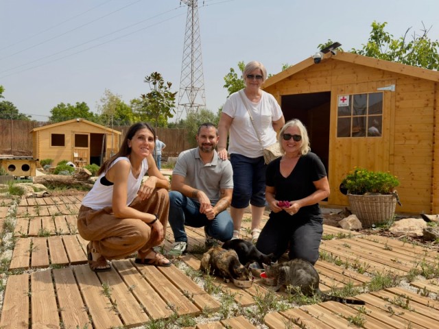 L'Alcora impulsa un centro municipal de protección felina: ya cuenta con 30 animales