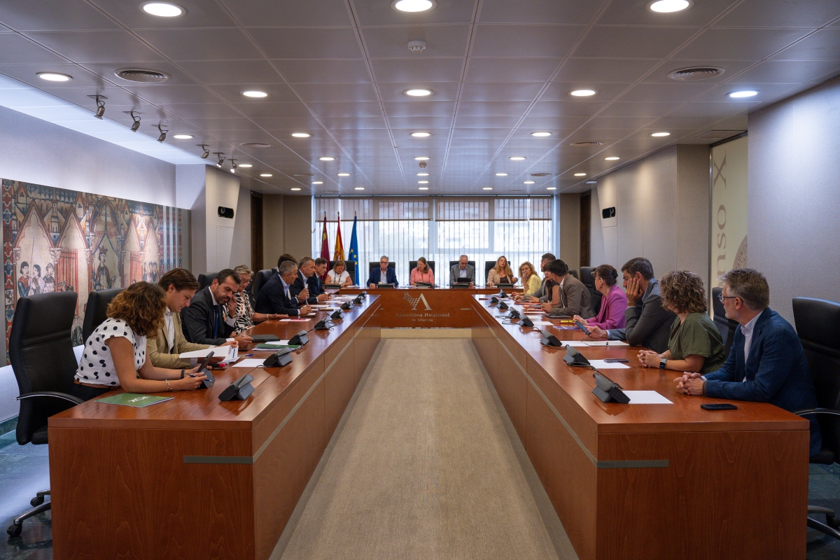 Diputación Permanente.