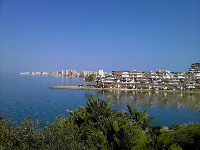 La Asociación de Comerciantes y Empresas de La Manga (ACE) pedirá prohibir la entrada de vehículos a la Cala del Pino